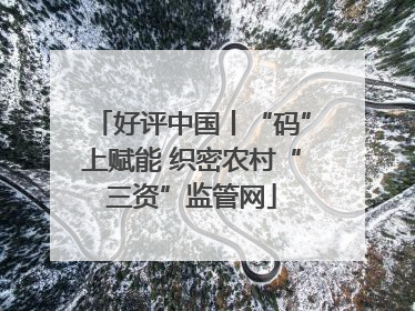 好评中国丨“码”上赋能 织密农村“三资”监管网