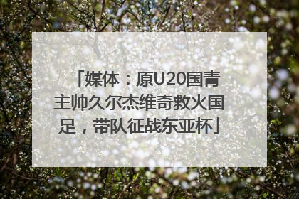 媒体：原U20国青主帅久尔杰维奇救火国足，带队征战东亚杯