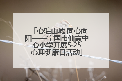 心驻山城 同心向阳——宁国市仙霞中心小学开展5·25心理健康日活动