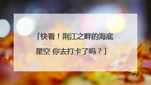 快看！荆江之畔的海底星空 你去打卡了吗？