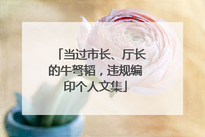 当过市长、厅长的牛弩韬，违规编印个人文集