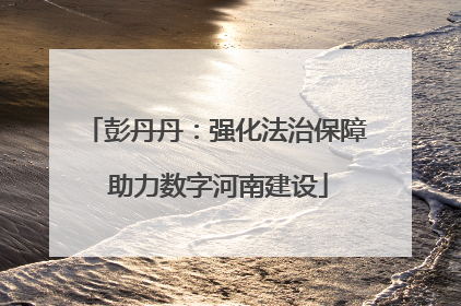 彭丹丹：强化法治保障 助力数字河南建设