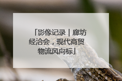 影像记录｜廊坊经洽会，现代商贸物流风向标