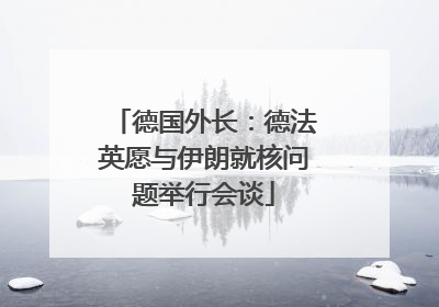 德国外长：德法英愿与伊朗就核问题举行会谈