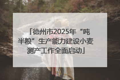 德州市2025年“吨半粮”生产能力建设小麦测产工作全面启动