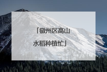 徽州区高山水稻种植忙
