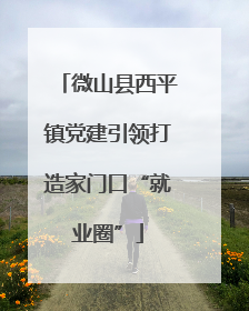 微山县西平镇党建引领打造家门口“就业圈”