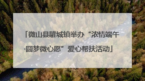 微山县驩城镇举办“浓情端午·圆梦微心愿”爱心帮扶活动