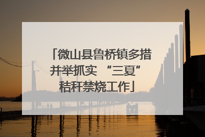 微山县鲁桥镇多措并举抓实 “三夏” 秸秆禁烧工作