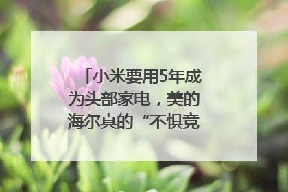 小米要用5年成为头部家电，美的海尔真的“不惧竞争”？｜热财经
