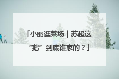 小丽逛菜场｜苏超这“鹅”到底谁家的？