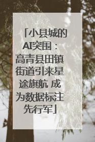小县城的AI突围：高青县田镇街道引来星途旗航 成为数据标注先行军