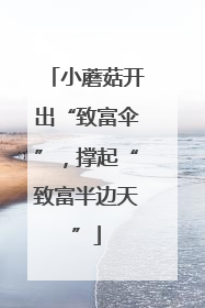 小蘑菇开出“致富伞”，撑起“致富半边天”