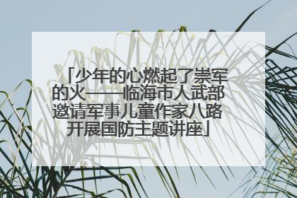 少年的心燃起了崇军的火——临海市人武部邀请军事儿童作家八路开展国防主题讲座