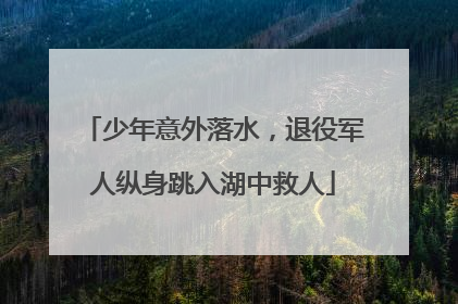 少年意外落水，退役军人纵身跳入湖中救人