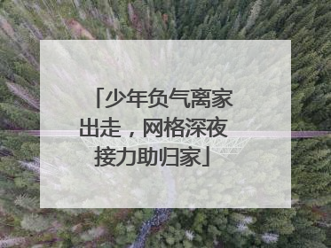 少年负气离家出走，网格深夜接力助归家