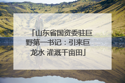 山东省国资委驻巨野第一书记：引来巨龙水 灌溉千亩田