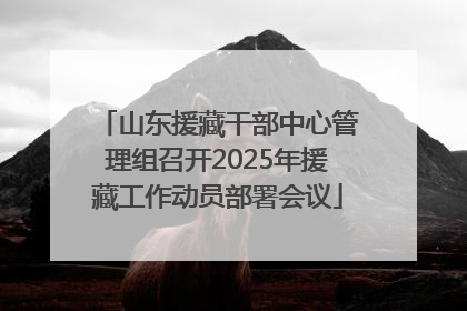 山东援藏干部中心管理组召开2025年援藏工作动员部署会议