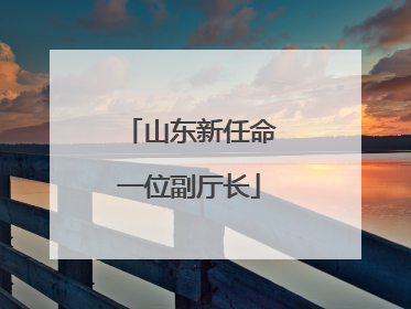 山东新任命一位副厅长
