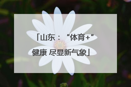 山东：“体育+”健康 尽显新气象