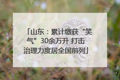 山东：累计缴获“笑气”30余万升 打击治理力度居全国前列