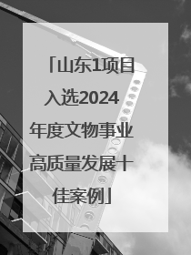 山东1项目入选2024年度文物事业高质量发展十佳案例