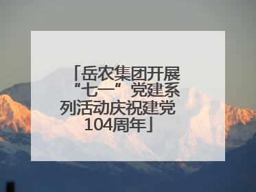岳农集团开展“七一”党建系列活动庆祝建党104周年