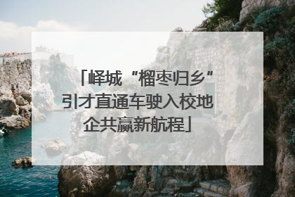 峄城“榴枣归乡”引才直通车驶入校地企共赢新航程