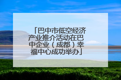 巴中市低空经济产业推介活动在巴中企业（成都）幸福中心成功举办