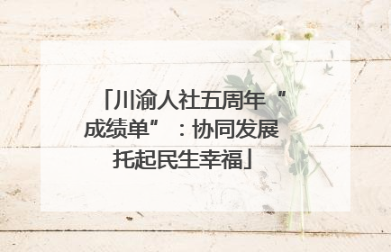 川渝人社五周年“成绩单”：协同发展托起民生幸福