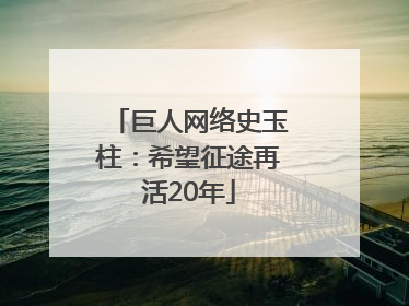 巨人网络史玉柱：希望征途再活20年
