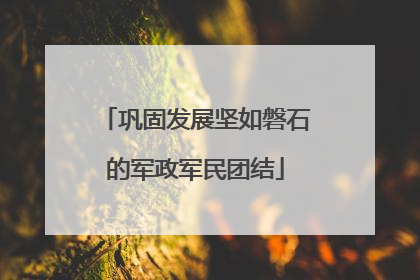 巩固发展坚如磐石的军政军民团结