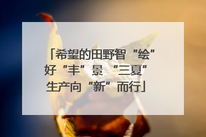 希望的田野智“绘”好“丰”景 “三夏”生产向“新”而行