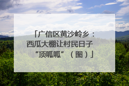 广信区黄沙岭乡：西瓜大棚让村民日子“顶呱呱”（图）