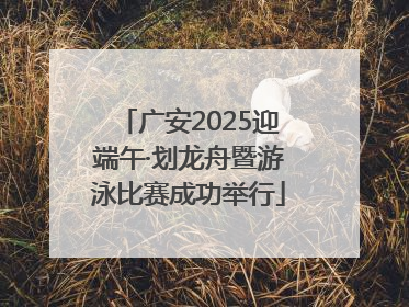 广安2025迎端午·划龙舟暨游泳比赛成功举行