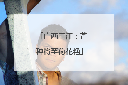 广西三江：芒种将至荷花艳