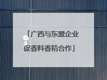 广西与东盟企业促香料香精合作