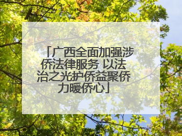 广西全面加强涉侨法律服务 以法治之光护侨益聚侨力暖侨心