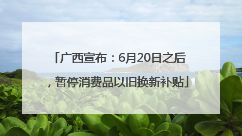 广西宣布：6月20日之后，暂停消费品以旧换新补贴