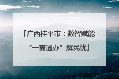 广西桂平市：数智赋能“一窗通办”解民忧