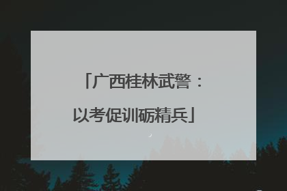 广西桂林武警：以考促训砺精兵