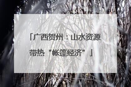 广西贺州：山水资源带热“帐篷经济”
