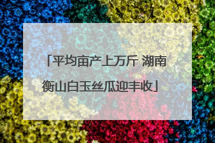 平均亩产上万斤 湖南衡山白玉丝瓜迎丰收