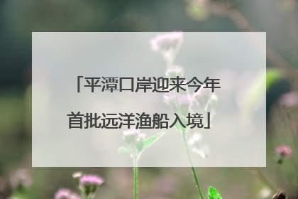 平潭口岸迎来今年首批远洋渔船入境