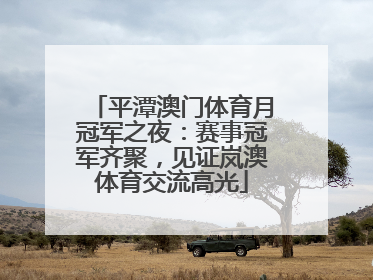 平潭澳门体育月冠军之夜：赛事冠军齐聚，见证岚澳体育交流高光