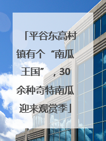 平谷东高村镇有个“南瓜王国”，30余种奇特南瓜迎来观赏季
