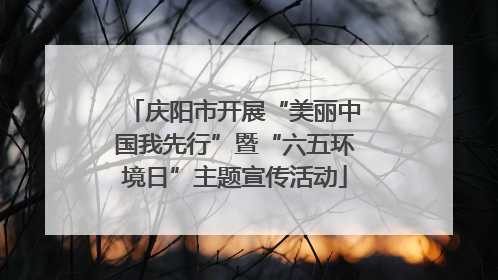 庆阳市开展“美丽中国我先行”暨“六五环境日”主题宣传活动