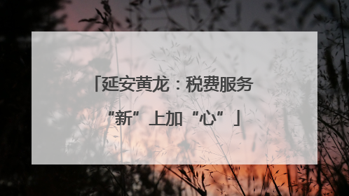 延安黄龙：税费服务“新”上加“心”