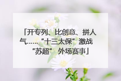开专列、比创意、拼人气……“十三太保”激战“苏超” 外场赛事