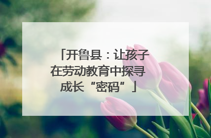 开鲁县：让孩子在劳动教育中探寻成长“密码”